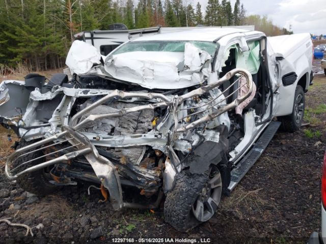 1GCGTDEN0L1186624 Chevrolet Colorado Z71