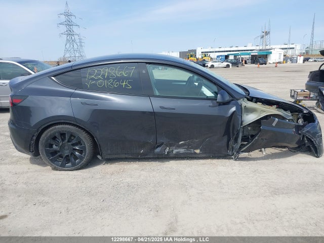 7SAYGDED9RF018645 Tesla 2024
