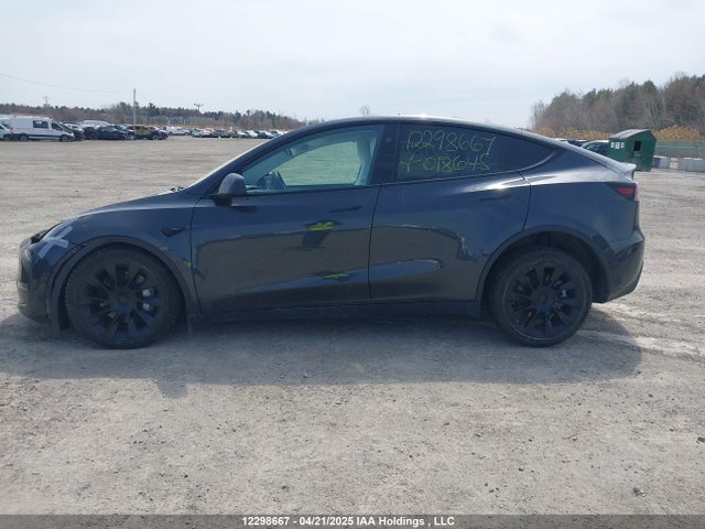 7SAYGDED9RF018645 Tesla 2024