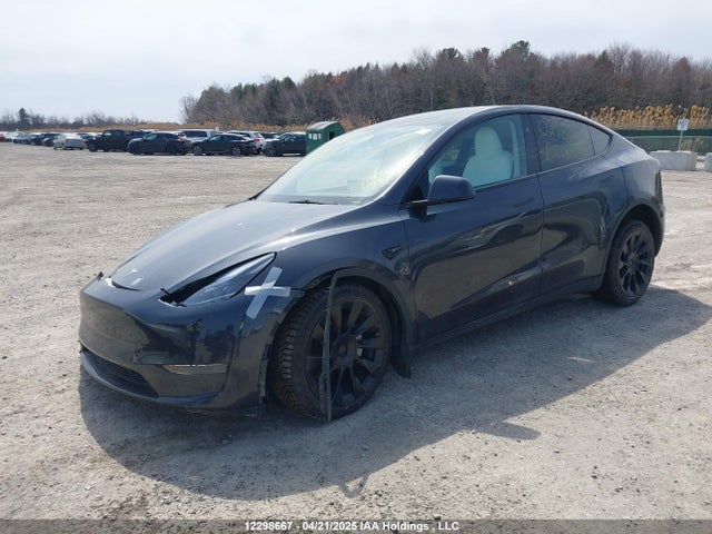 7SAYGDED9RF018645 Tesla 2024