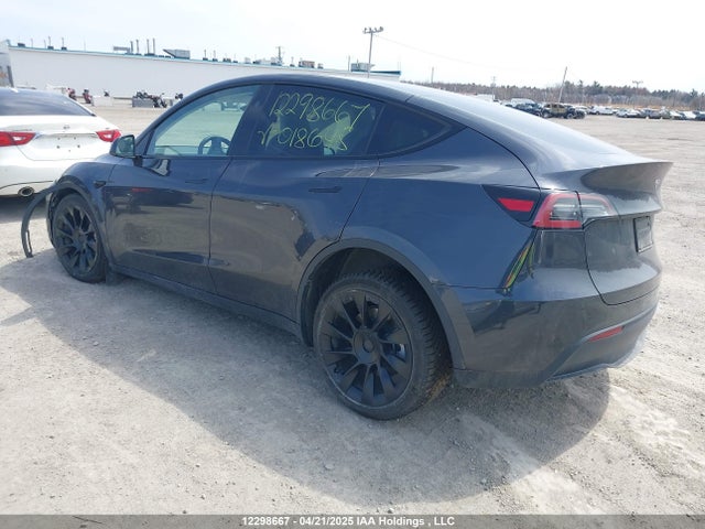 7SAYGDED9RF018645 Tesla 2024