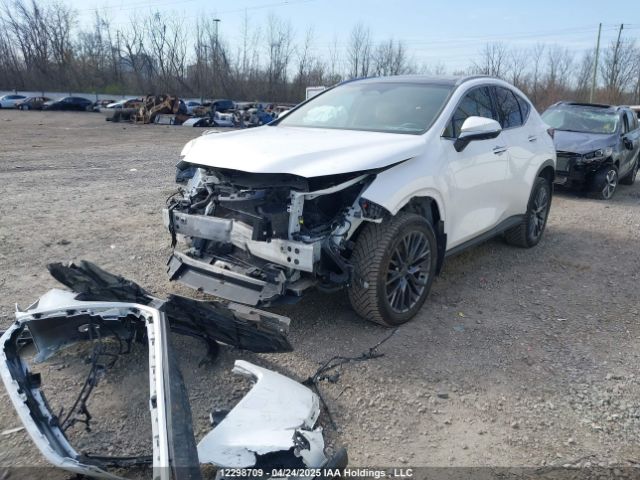 2T2GKCEZ5NC003521 Lexus Nx 350h 350h