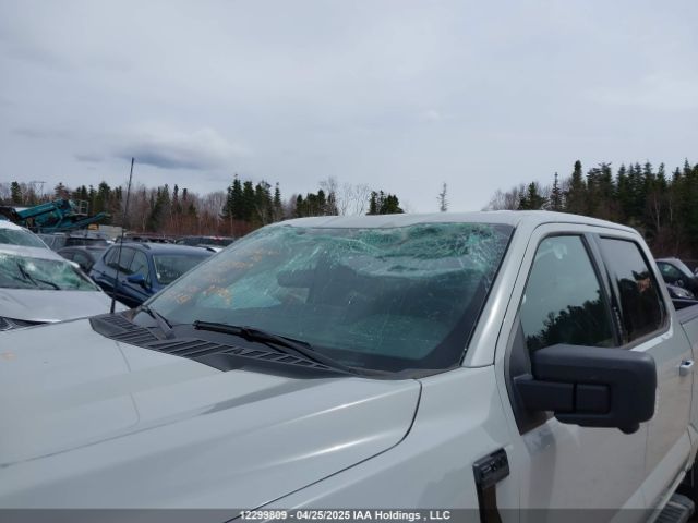 1FTFW3L51RFA22360 Ford F-150 Xlt