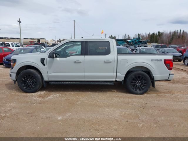 1FTFW3L51RFA22360 Ford F-150 Xlt