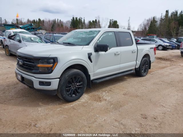 1FTFW3L51RFA22360 Ford F-150 Xlt