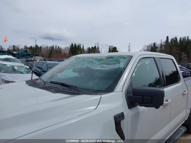1FTFW3L51RFA22360 Ford F-150 Xlt
