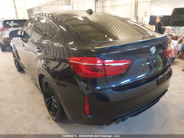 5YMKW8C53G0R43658 BMW X6