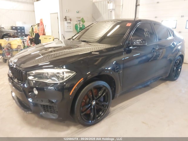 5YMKW8C53G0R43658 BMW X6