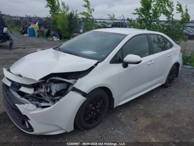 JTDBCMFE7R3034491 Toyota Corolla Hybrid