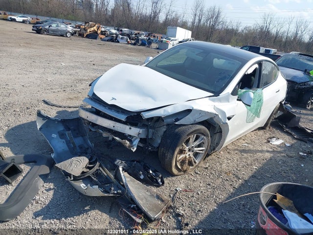 5YJYGDEE3MF175862 Tesla Model Y