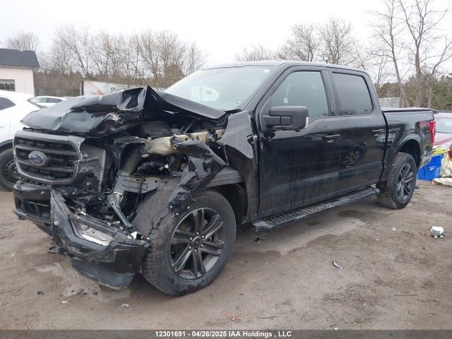 1FTFW1E81NKF17803 Ford gtdi