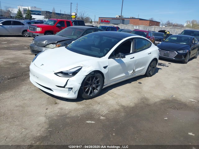 Продажа на аукционе авто 2023 Tesla Model 3 Rwd, vin: 5YJ3E1EA8PF401393, номер лота: 12301917