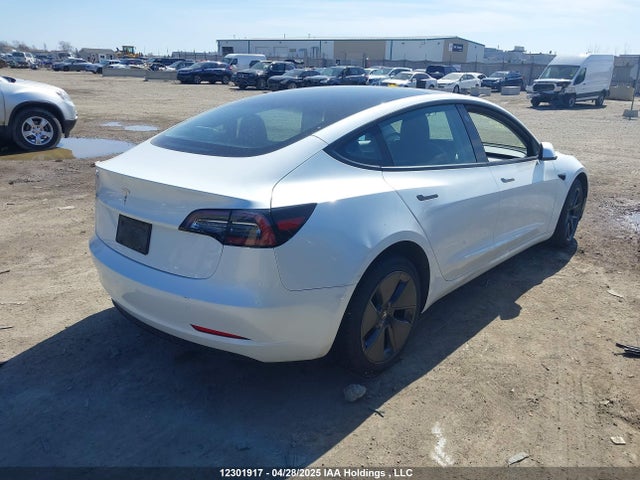 Продажа на аукционе авто 2023 Tesla Model 3 Rwd, vin: 5YJ3E1EA8PF401393, номер лота: 12301917
