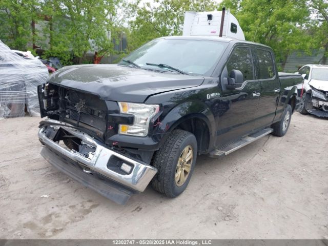 1FTFW1EF7HFB13707 Ford F-150