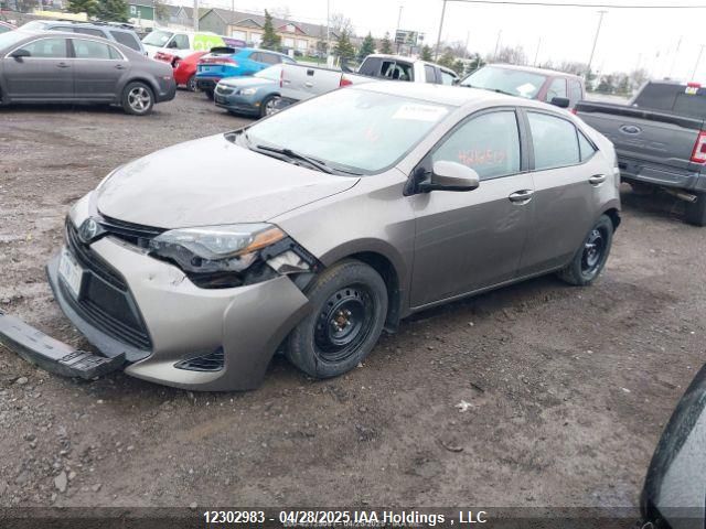 2T1BURHE8KC127315 Toyota Corolla L/le/xle/se/xse