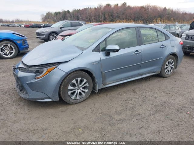 JTDBAMDE2MJ015683 Toyota Corolla