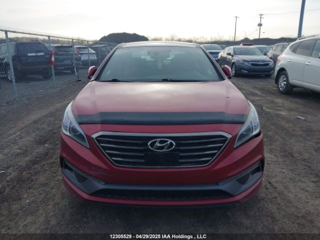 5NPE34AB7FH067310 Hyundai Sonata Sport/limited