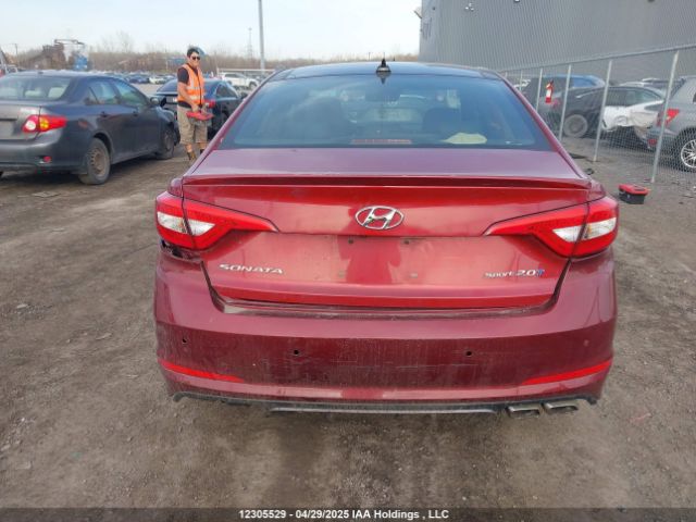 5NPE34AB7FH067310 Hyundai Sonata Sport/limited