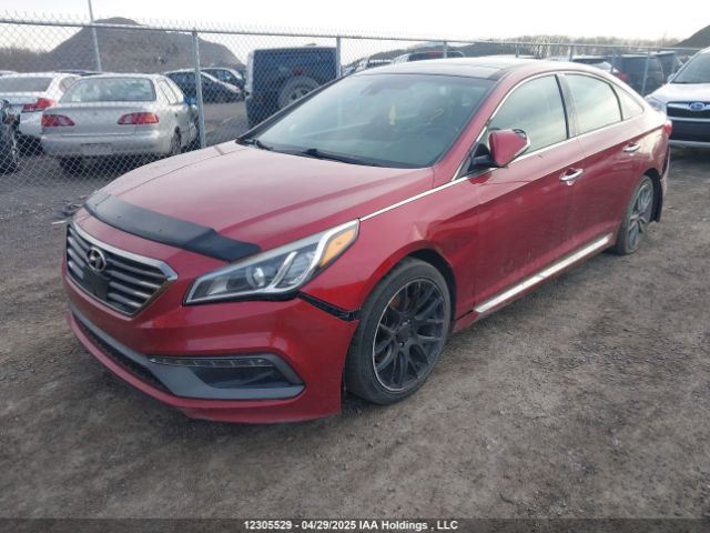 5NPE34AB7FH067310 Hyundai Sonata Sport/limited