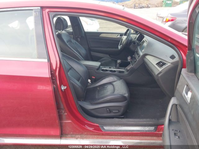 5NPE34AB7FH067310 Hyundai Sonata Sport/limited