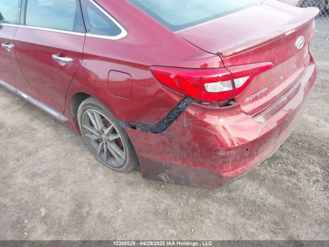 5NPE34AB7FH067310 Hyundai Sonata Sport/limited