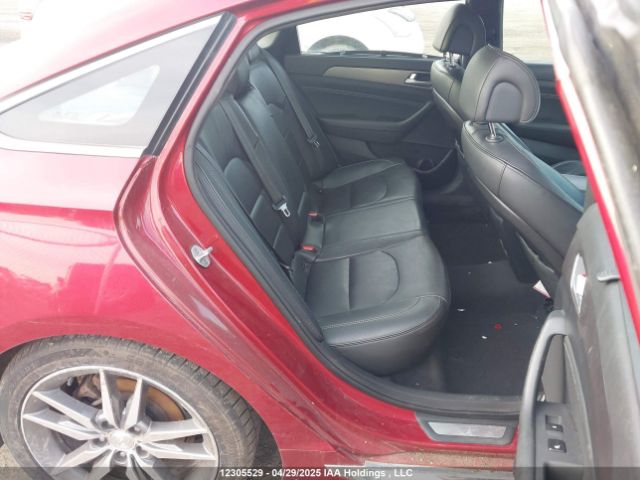 5NPE34AB7FH067310 Hyundai Sonata Sport/limited