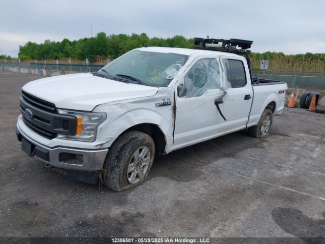 1FTFW1E49KKE01063 Ford F-150 Xlt