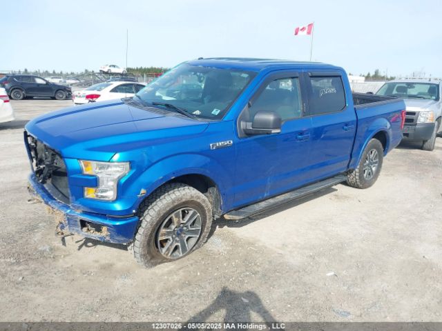 1FTEW1EF6FKE92439 Ford 2015