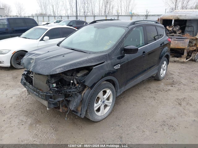 1FMCU0G91GUB77998 Ford Escape