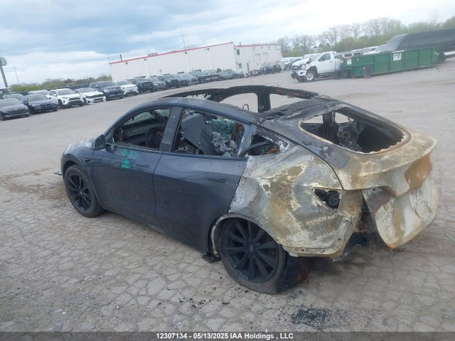 Tesla Model Y 2021 5YJYGAEE3MF136980 Image 3