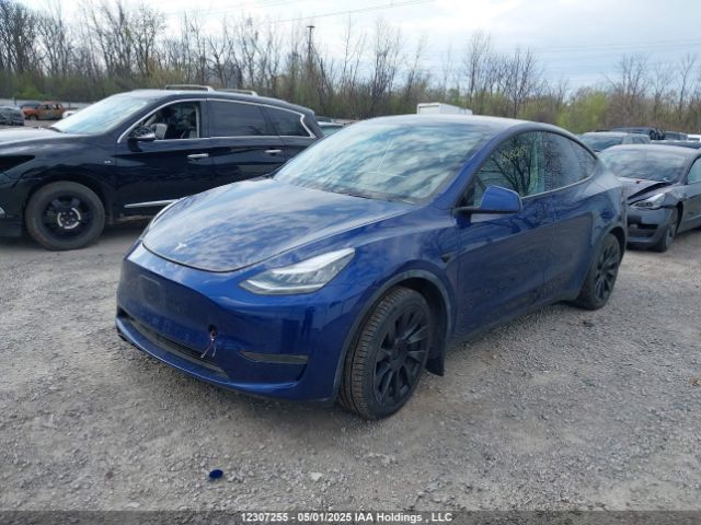 5YJYGDEE7MF080589 Tesla Model Y