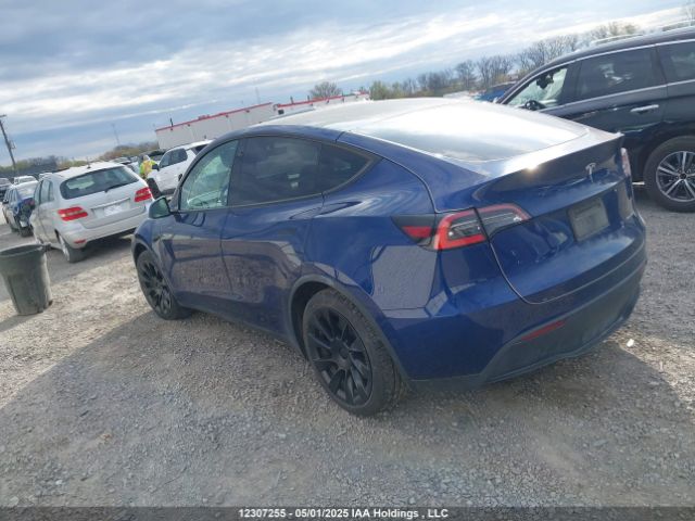 5YJYGDEE7MF080589 Tesla Model Y