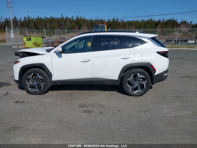 KM8JCCD18RU246845 Hyundai Tucson Ultimate Awd