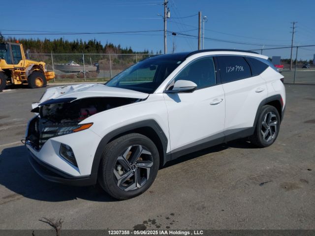 KM8JCCD18RU246845 Hyundai Tucson Ultimate Awd