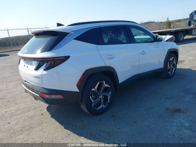 KM8JCCD18RU246845 Hyundai Tucson Ultimate Awd