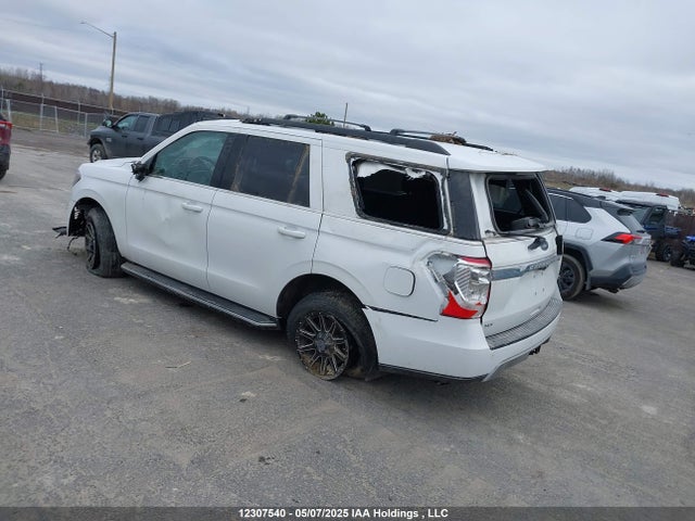 12307540 :رقم المزاد ، 1FMJU1JT6LEA22689 vin ، 2020 Ford Expedition Xlt مزاد بيع