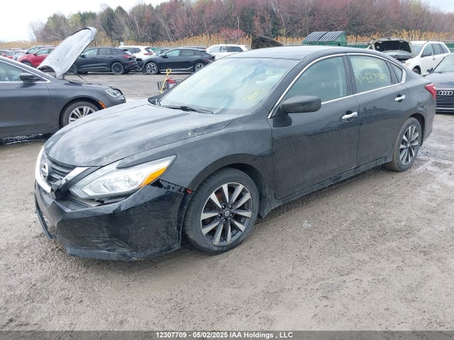 1N4AL3AP5GN337940 Nissan Altima