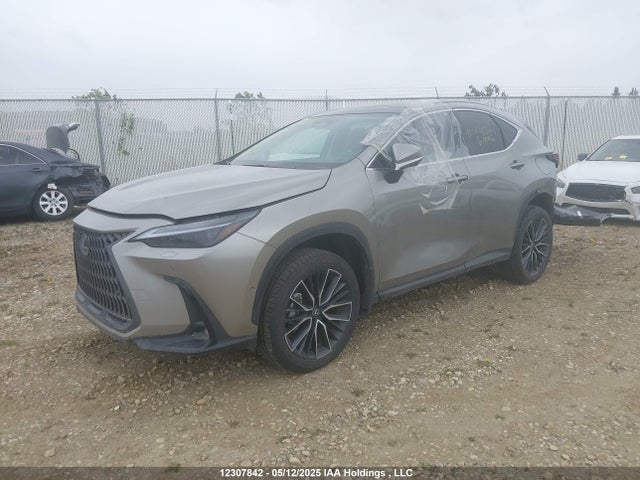 Lexus a25a-fxs, 5nm+4nm 2024 2T2GKCEZ6RC024173 Image 2