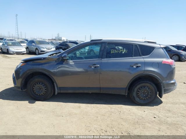 2T3BFREV1GW469765 Toyota RAV4 LE