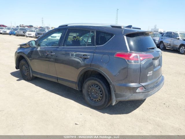 2T3BFREV1GW469765 Toyota RAV4 LE
