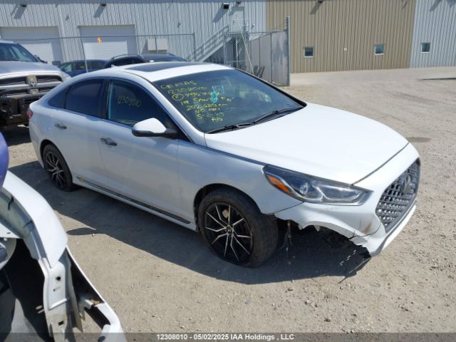 5NPE34AF1KH794777 Hyundai Sonata Limited/sel/sport