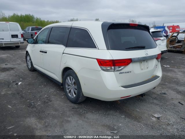 5FNRL5H31GB504630 Honda j35z8