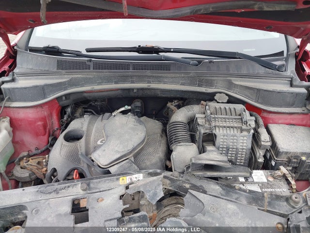 5XYZUDLB6GG316913 Hyundai Santa Fe