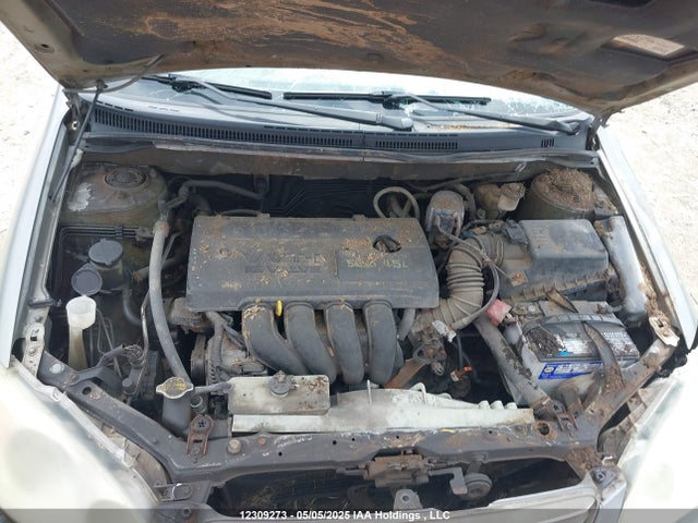 12309273 :رقم المزاد ، 2T1BR32E13C749134 vin ، 2003 Toyota Corolla Ce/le/s مزاد بيع