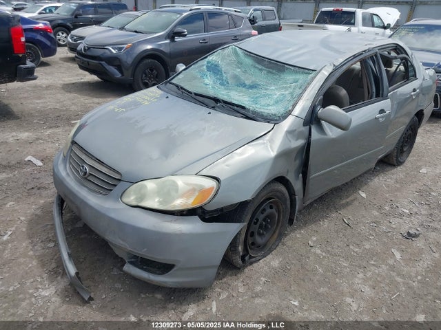 12309273 :رقم المزاد ، 2T1BR32E13C749134 vin ، 2003 Toyota Corolla Ce/le/s مزاد بيع