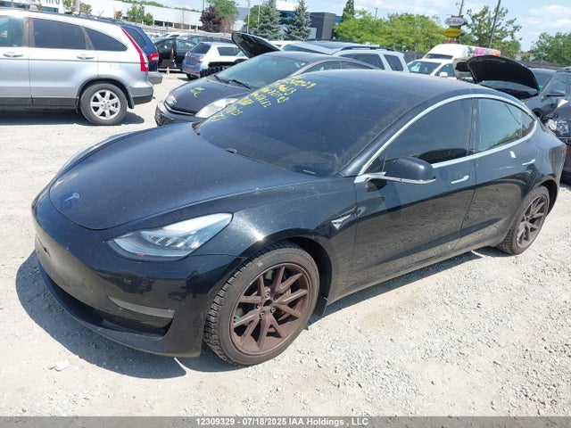 Tesla 2019 2019 5YJ3E1EA5KF321493 Image 2