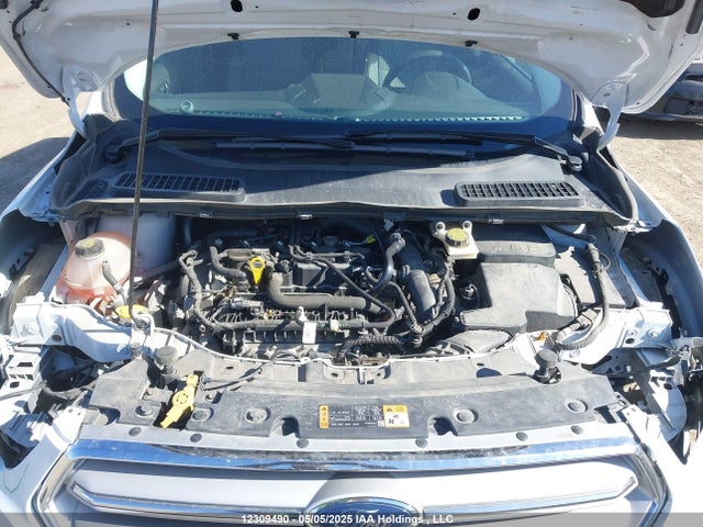 12309490 :رقم المزاد ، 1FMCU0GD7KUB39866 vin ، 2019 Ford Escape Se مزاد بيع