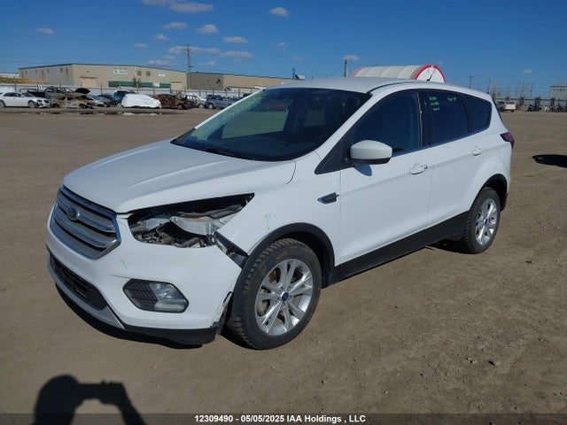 12309490 :رقم المزاد ، 1FMCU0GD7KUB39866 vin ، 2019 Ford Escape Se مزاد بيع