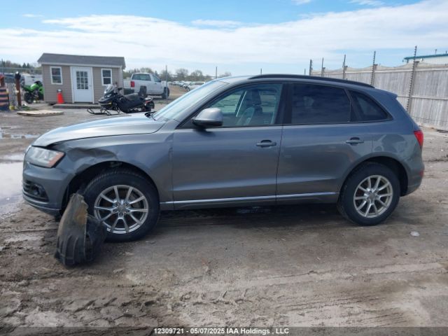 WA1CFCFP2EA086702 Audi Q5