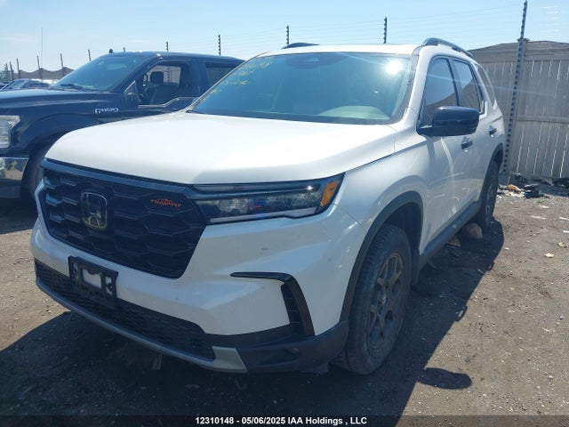 5FNYG1H6XPB501244 Honda Pilot Trailsport